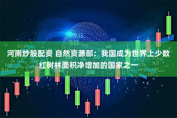 河南炒股配资 自然资源部：我国成为世界上少数红树林面积净增加的国家之一