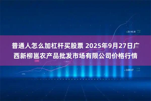 普通人怎么加杠杆买股票 2025年9月27日广西新柳邕农产品批发市场有限公司价格行情